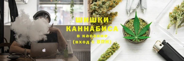 гидропоника Алзамай