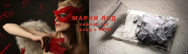 a pvp Аркадак