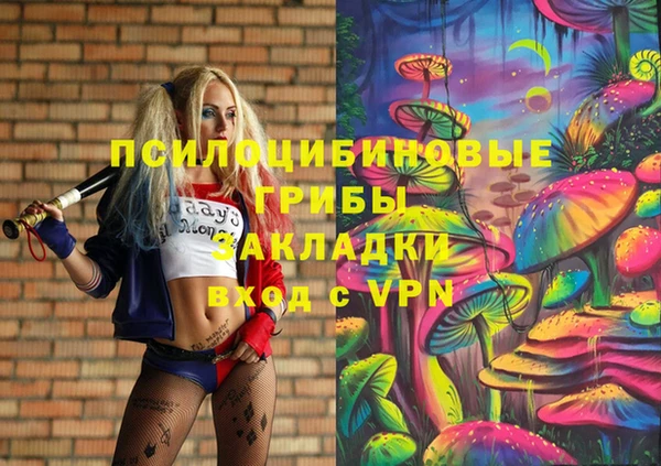 метадон Арсеньев