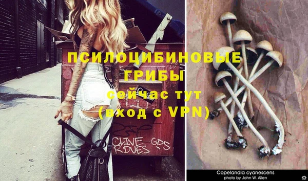 гидропоника Алзамай