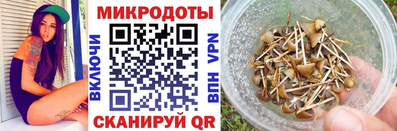 Галлюциногенные грибы Psilocybe  Купить  Спас-Деменск 