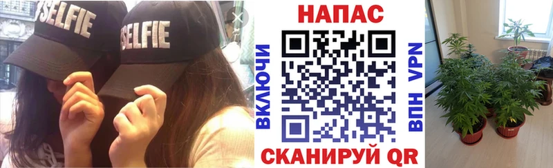 Канабис семена  Купить где  Спас-Деменск 